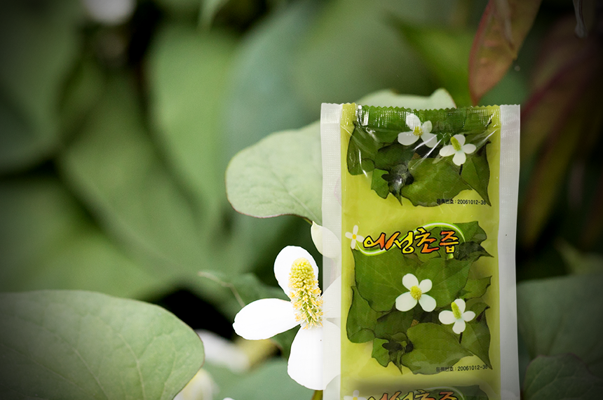 국내산 어성초즙 / 진액 90ml 60포