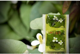 국내산 어성초즙 / 진액 90ml 60포